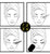 How to apply the Lash Extensions?
