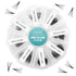 10D Loose Fans Lashes - 500 Fans