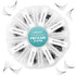 5D Pre-Made Loose Lash Fans-500 Fans