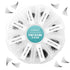8D Handmade Loose Fans Lashes - 500 Fans