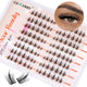 Invisible Lash Clusters Natural and Wispy