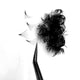 Loose Promade Fans Lash  8D-500 Fans - GEMERRY